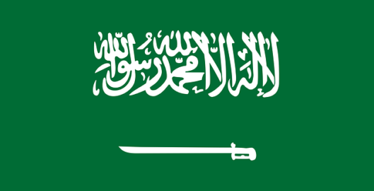 Saudi-Arabien: Update zur Technischen Verordnung für oxo-biologisch abbaubare Kunsstoffe